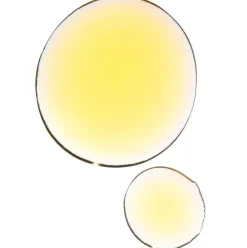 Absolute Anti Aging Face Oil - regenerierendes Gesichtsöl