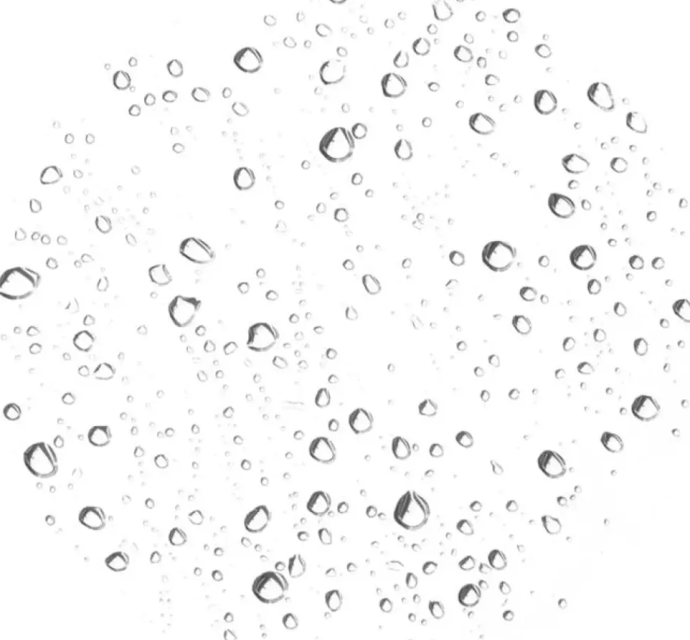 Bitter Orange - feuchtigkeitsspendender Toner mit Neroli