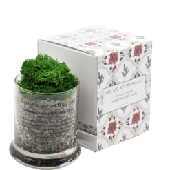 BREATH OF CLARITY Uplifting Bath Salts/ Badesalz | LOLA'S APOTHECARY