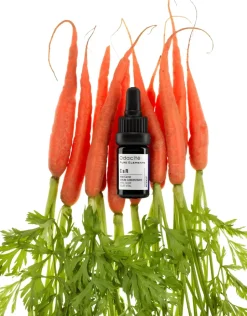 CaR Vital Glow - Serum | Konzentrat mit wilder Karotte für vitale Haut