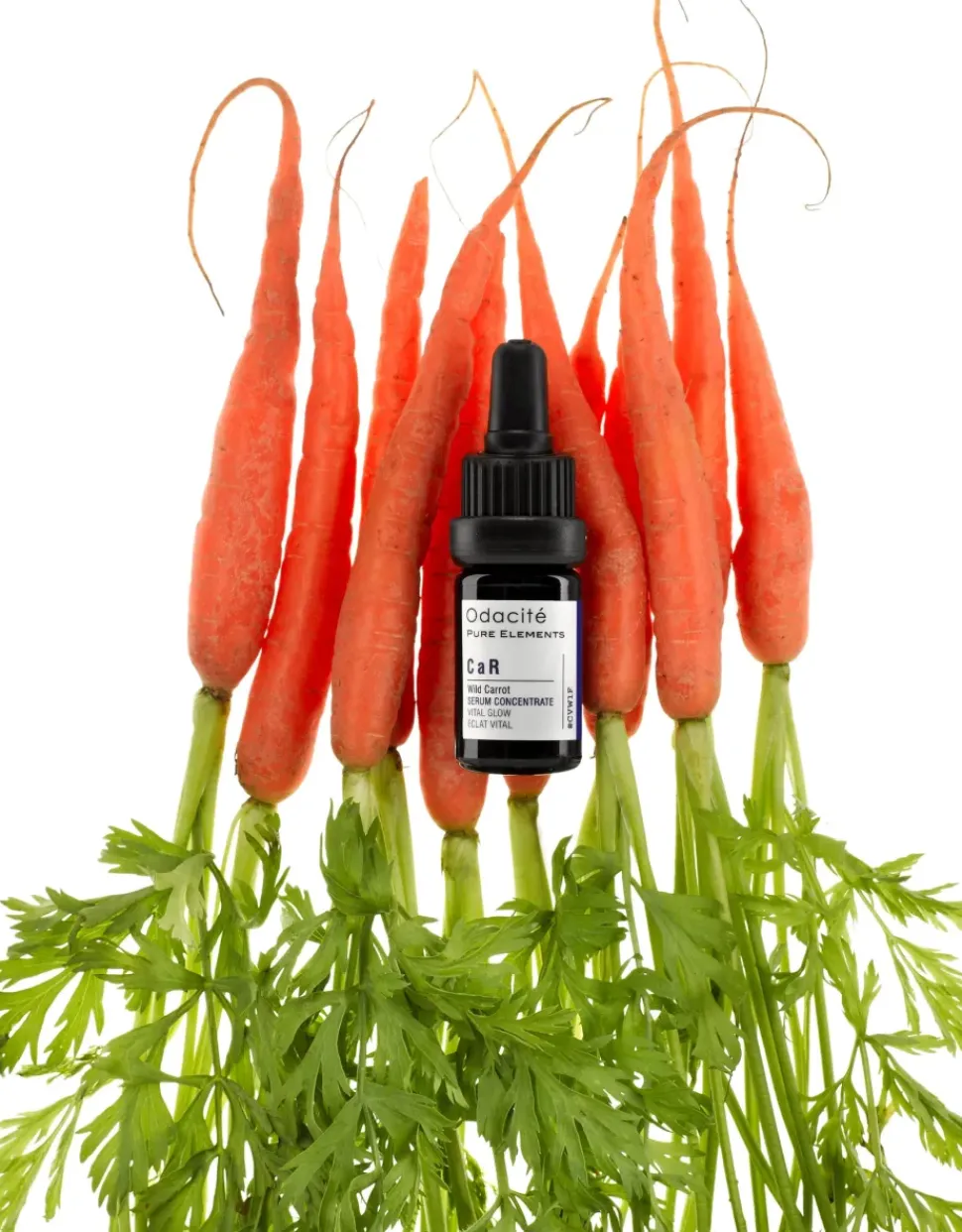 CaR Vital Glow - Serum | Konzentrat mit wilder Karotte für vitale Haut