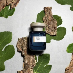 CÈDRE FIGALIA - Unisex Eau de Parfum | ATELIER MATERI