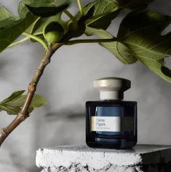 CÈDRE FIGALIA - Unisex Eau de Parfum | ATELIER MATERI