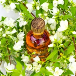 DIVINE GRACE - Regenerative Body & Massage Oil/ Körperöl | LOLA'S APOTHECARY