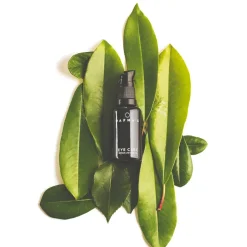 EYE CARE | DAFNA'S - leichte Augenpflege
