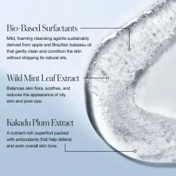 Kakadu Clean Cleansing Gel RMS Beauty