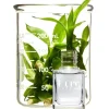 Kure Bazaar Basis-Nagellack - Super Base mit 1% Silicium