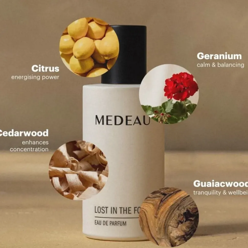 LOST IN THE FOREST - Parfum für Herren | MEDEAU