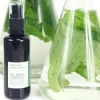 Mint + Green Tea Hydra-Purifying Treatment Mist - Toningspray mit Minze und Grünem Tee