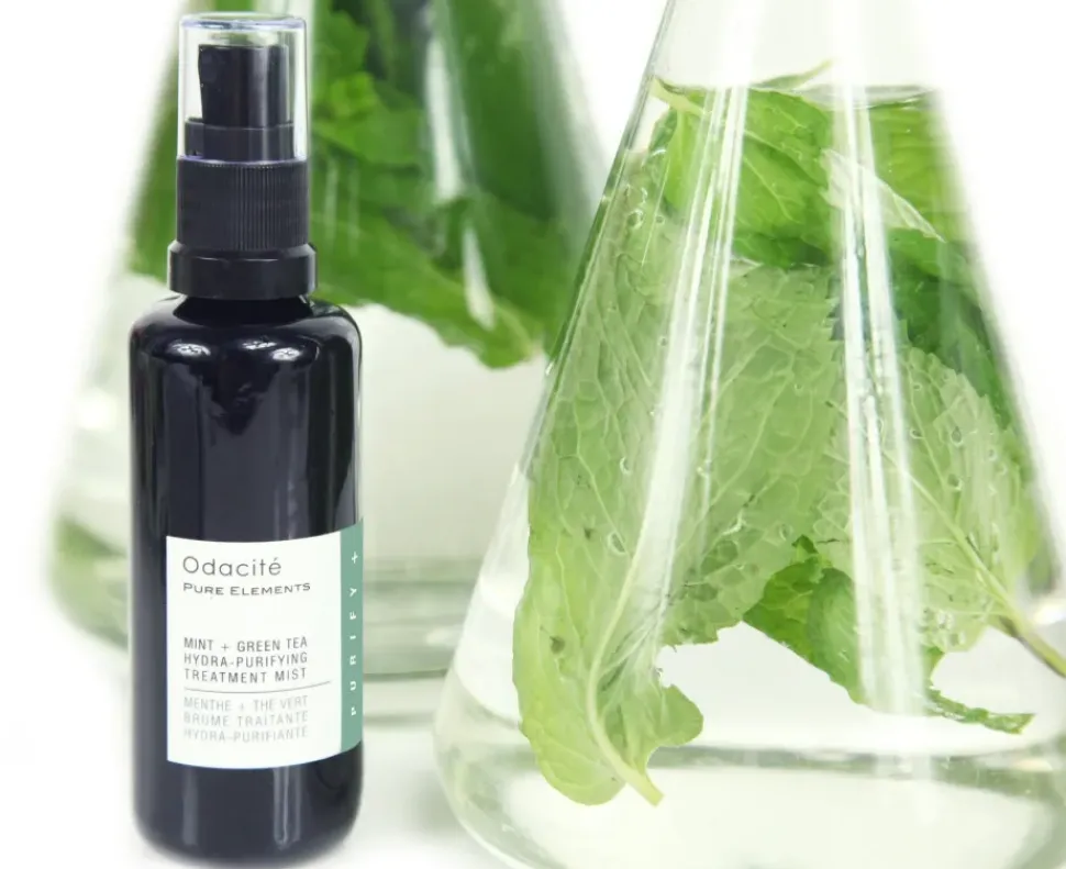 Mint + Green Tea Hydra-Purifying Treatment Mist - Toningspray mit Minze und Grünem Tee