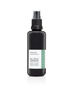 Mint + Green Tea Hydra-Purifying Treatment Mist - Toningspray mit Minze und Grünem Tee