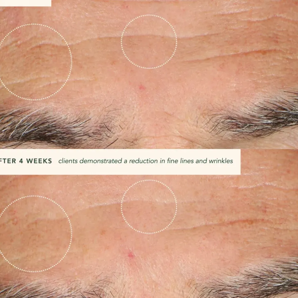 Restoring Moonseed Treatment - Ayurvedischer Balm für Feuchtigkeit und Hautberuhigung