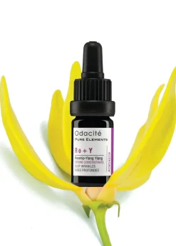 Ro+Y | Serum Konzentrat mit Hagebutte + Ylang-Ylang für die Behandlung intensiver Falten