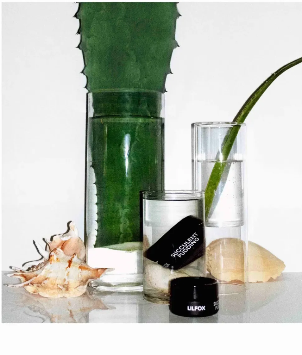 SUCCULENT PUDDING - Super Beruhigungsemulsion