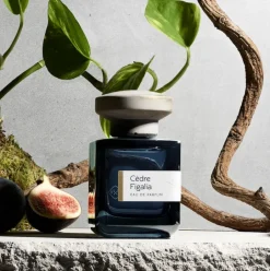 CÈDRE FIGALIA - Unisex Eau de Parfum | ATELIER MATERI